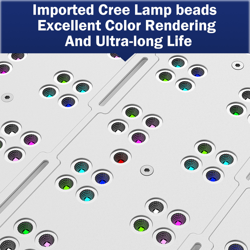 Marine Aquarium & Regional Centre Reviews - Hot KASSRAY T169/T215 CREEs LED Full