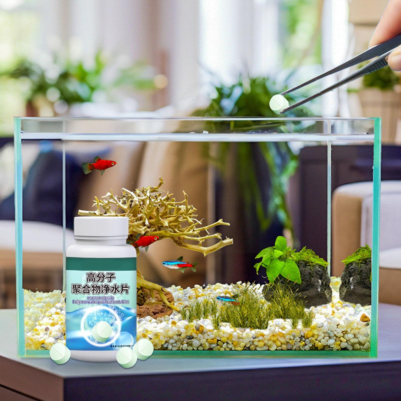 Fish Can Algae Remover Aquariu - Marine Aquarium Bacteria review and price