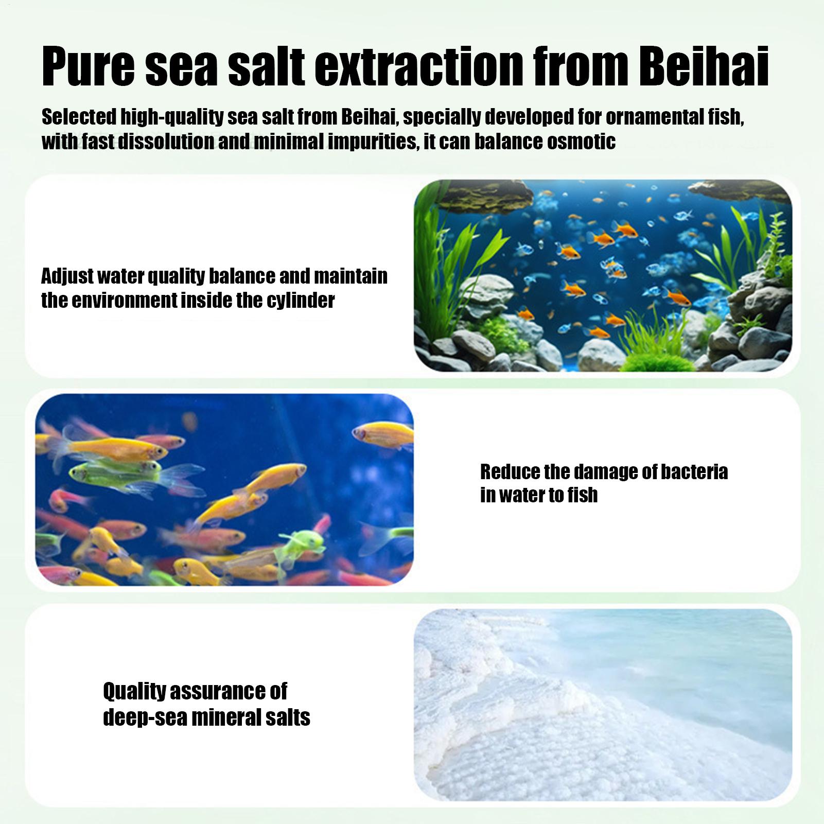 Fish Can Algae Remover Aquariu - Marine Aquarium Bacteria review and price