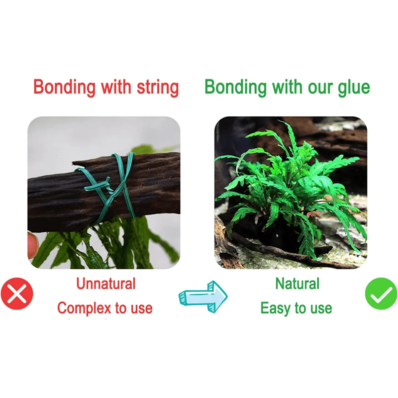 50/100g  Aquarium Landscaping  - Marine Aquarium Epoxy review and price