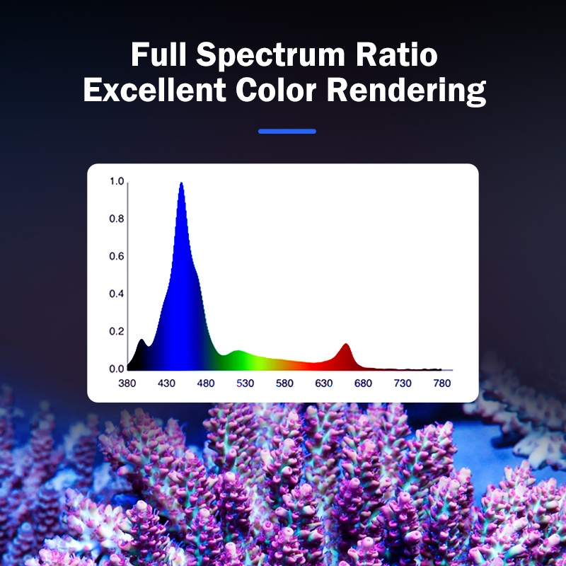 Hot KASSRAY T169/T215 CREEs LE - Marine Aquarium & Regional Centre Reviews review and price