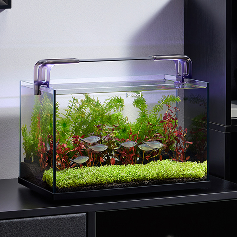 sttl Cherlam Factory Wholesale - Marine Aquarium Kit review and price