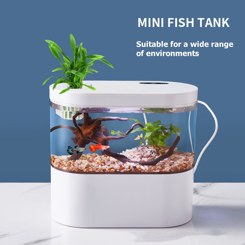 Mini Desktop Aquarium Fish Tan - Marine Aquarium Kit review and price