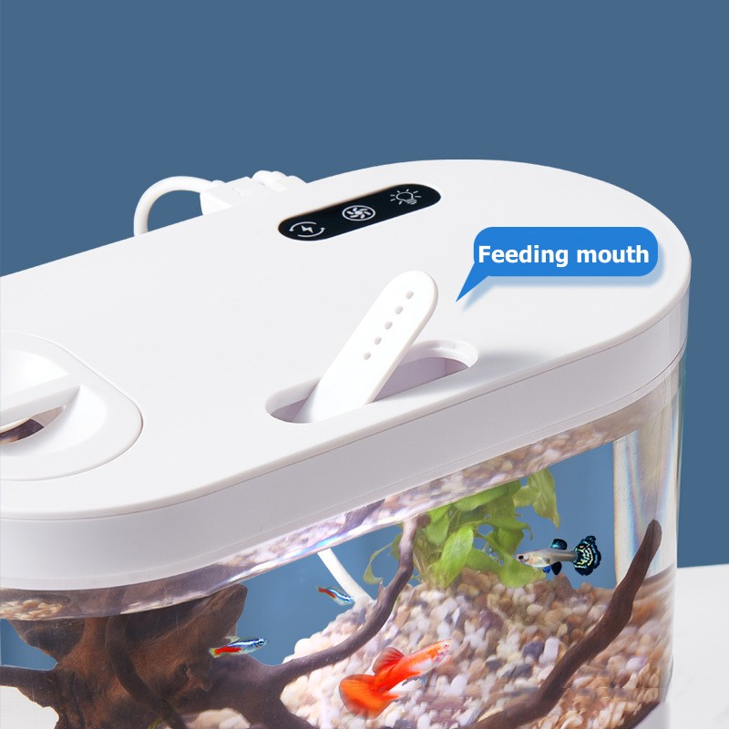 Mini Desktop Aquarium Fish Tan - Marine Aquarium Kit review and price