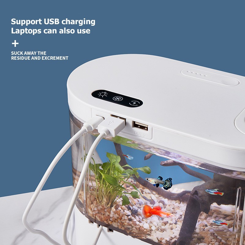 Mini Desktop Aquarium Fish Tan - Marine Aquarium Kit review and price