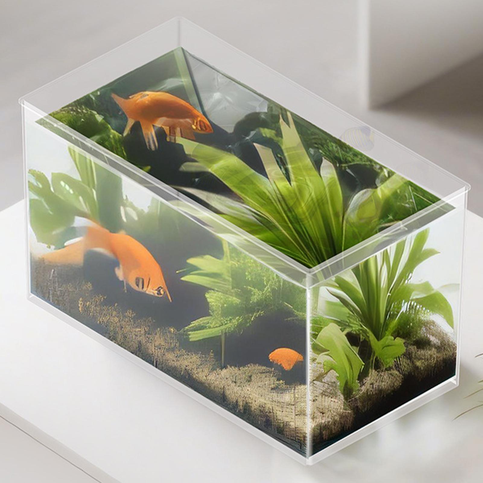 Small Fish Tank Betta Tank Ext - Marine Aquarium Kit review and price