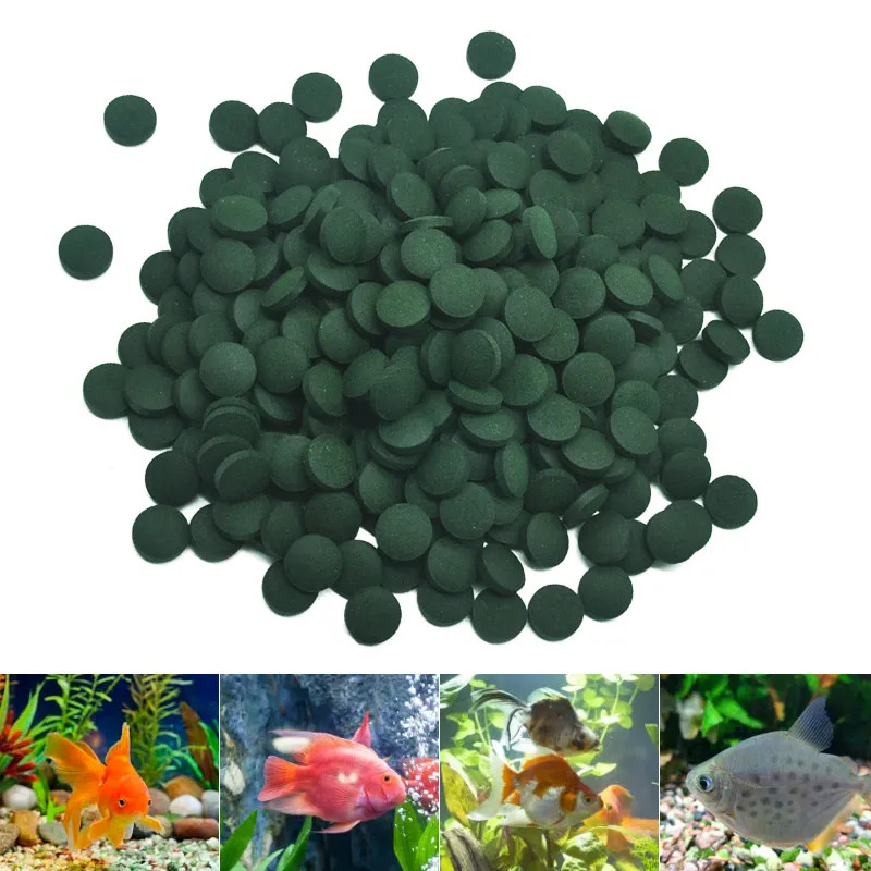 50-300Pcs High Purity Spirulin - Marine Aquarium Bacteria review and price