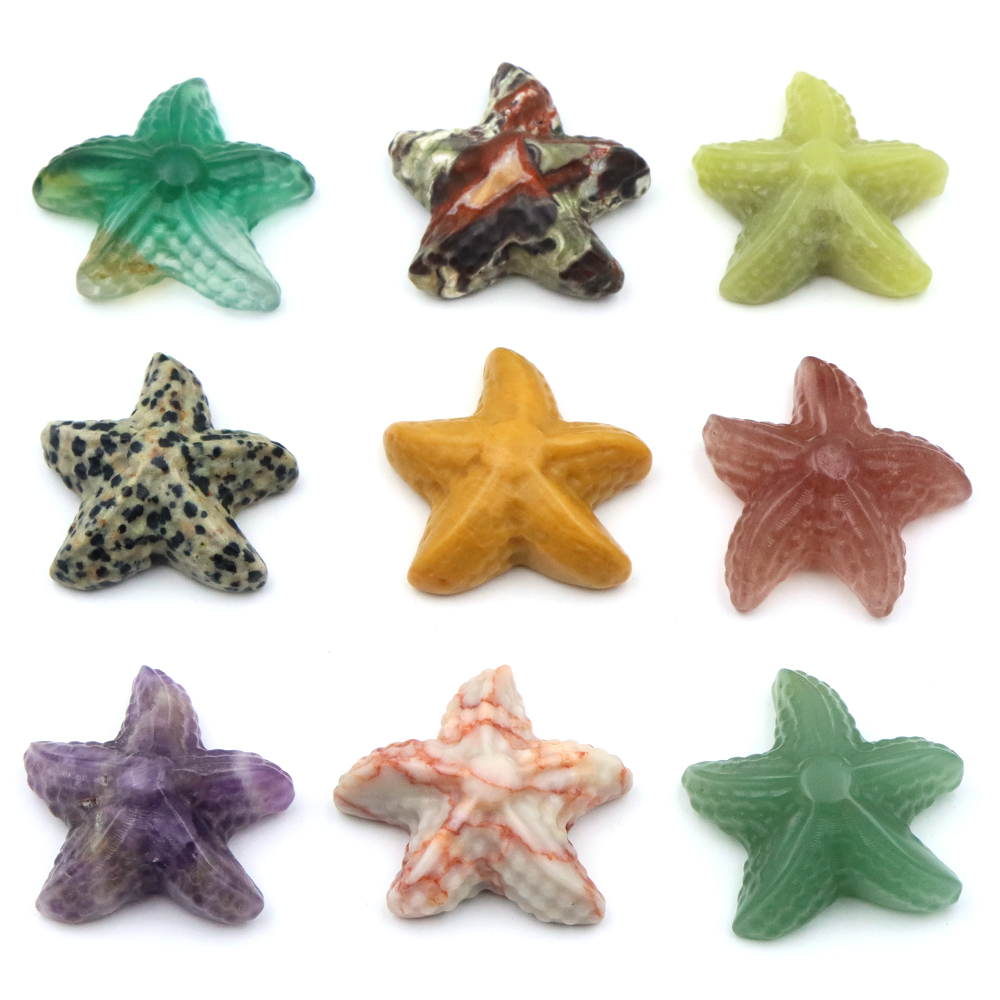 35mm Starfish Shape Statue Mar - Marine Aquarium & Regional Centre Reviews review and price