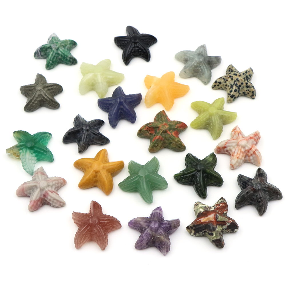 35mm Starfish Shape Statue Mar - Marine Aquarium & Regional Centre Reviews review and price