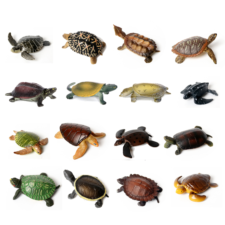 Realistic Miniatures Marine Li - Marine Aquarium & Regional Centre Reviews review and price
