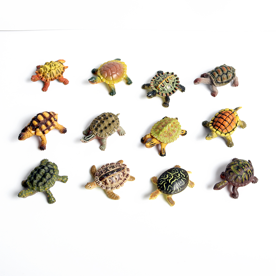 Realistic Miniatures Marine Li - Marine Aquarium & Regional Centre Reviews review and price